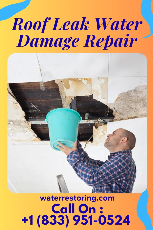 Roof Leak Water Damage Repair in Fishers, IN